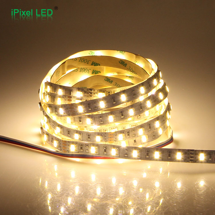 SMD5050 CCT Adjustable LED Strip – 60 LEDs/m, DC24V
