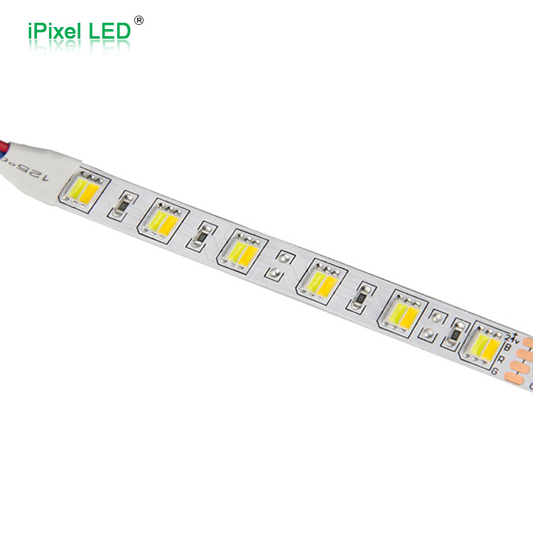 SMD5050 CCT Adjustable LED Strip – 60 LEDs/m, DC24V