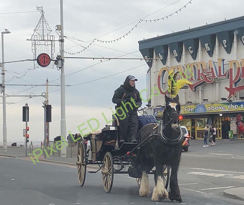 Blackpool UK Promenade Decoration 12×22mm RGB Digital Neon Flex (N012060CB3SFN012060CC3SF, N1222-Arc_2.jpg